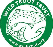 wild trout trust.jpg